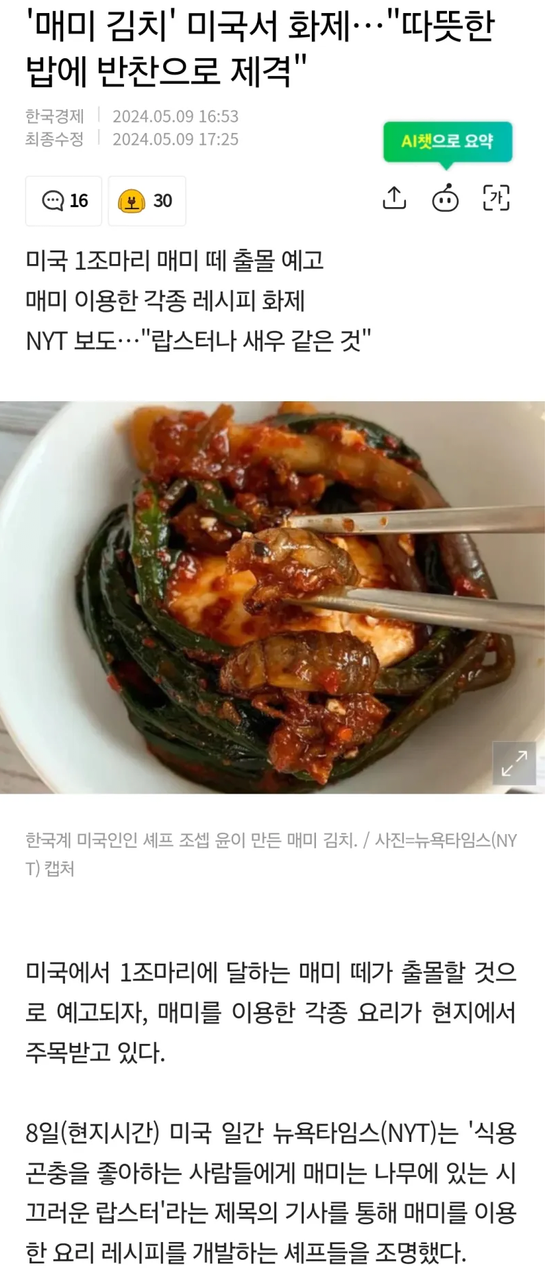 '매미 김치' 미국서 화제…'따뜻한 밥에 반찬으로 제격'