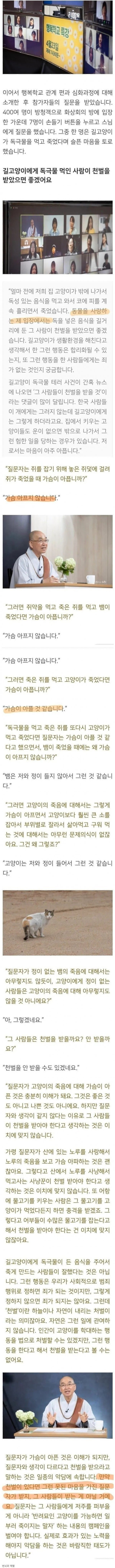 캣맘에 대한 스님의 답변