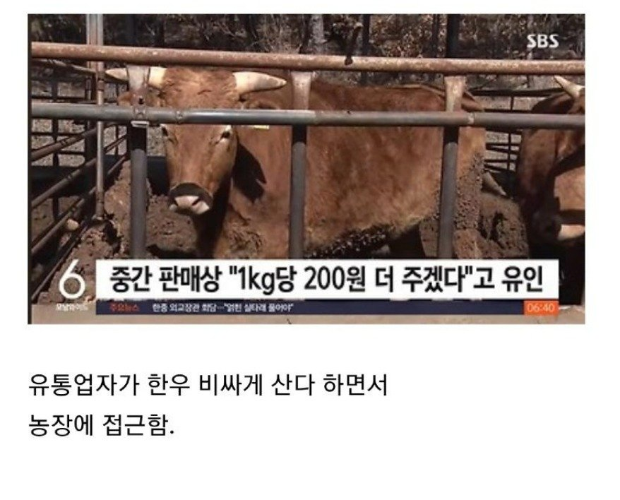 한우 사기꾼 레전드 ㄷㄷ