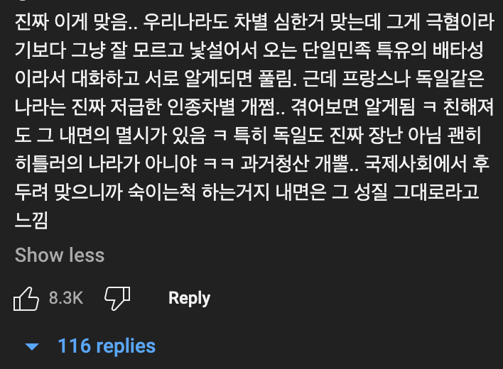 프랑스 누나가 말하는 한국 인종차별이 약한편인 이유 ㄷㄷㄷ