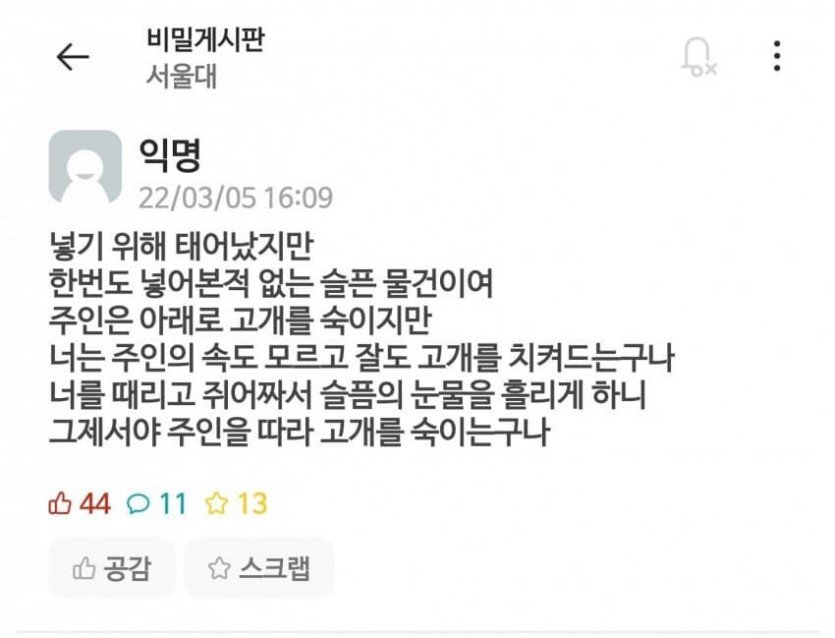 서울대 연세대 고려대학교 모솔 아다들