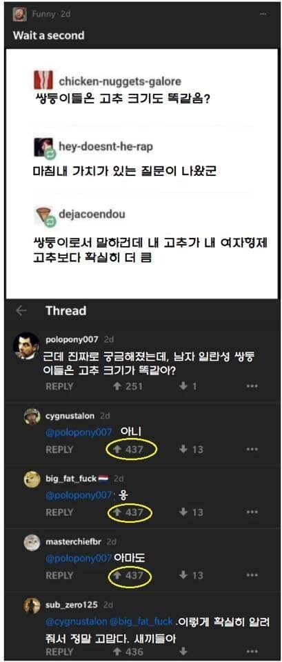 쌍둥이들은 고추 크기도 똑같음