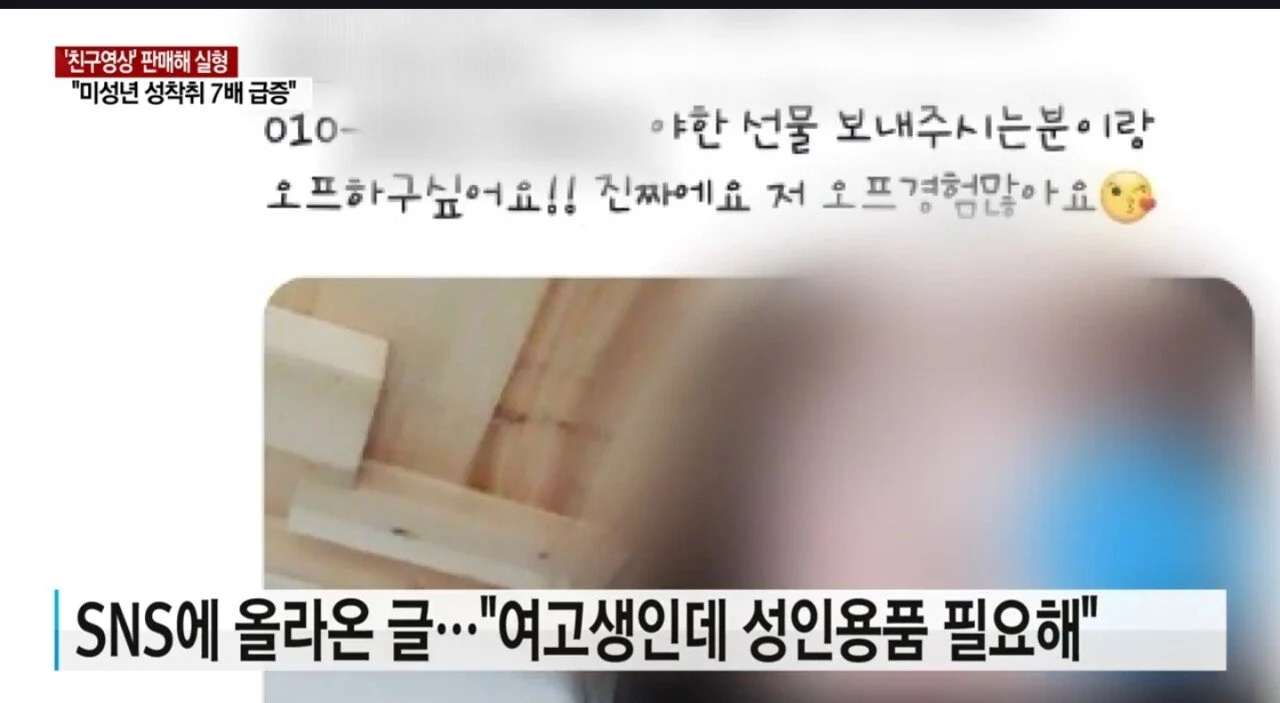 여고생 성범죄 영상 팔아먹은 여고생