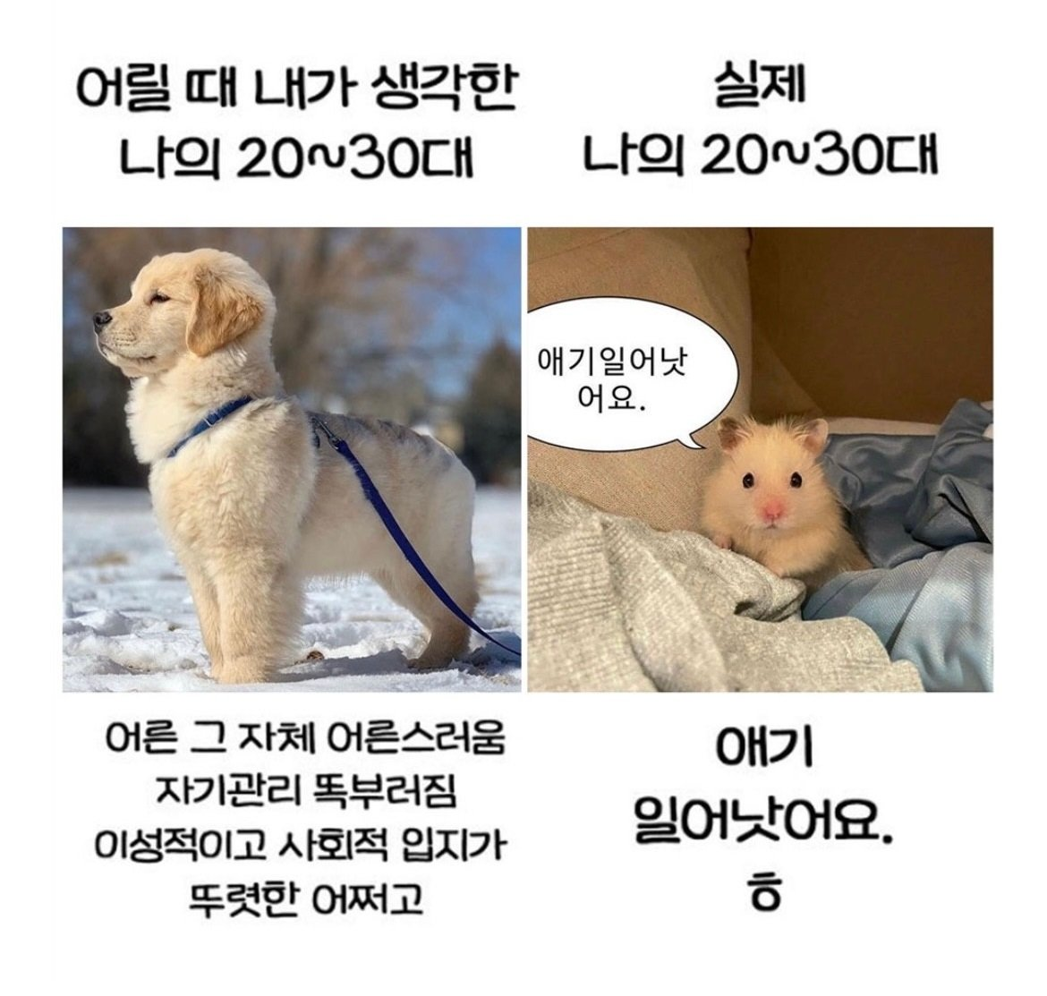 어릴때 생각한 20대 와 실제 20대