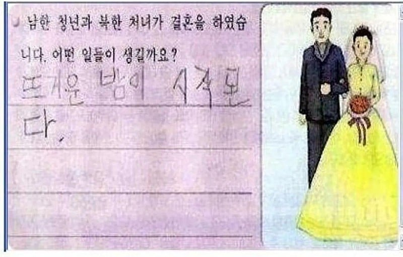 남한 청년과 북한 처녀가 결혼하면 어떤 일이 생길까요옹?