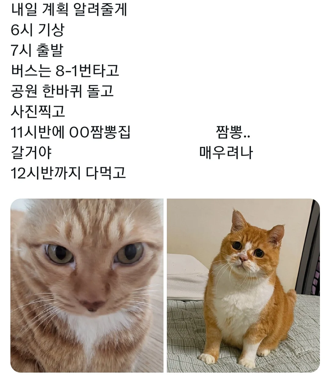 J와 P의 여행