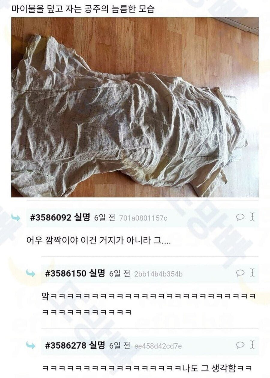 여름용 고급 이불을 얻어온 여고생