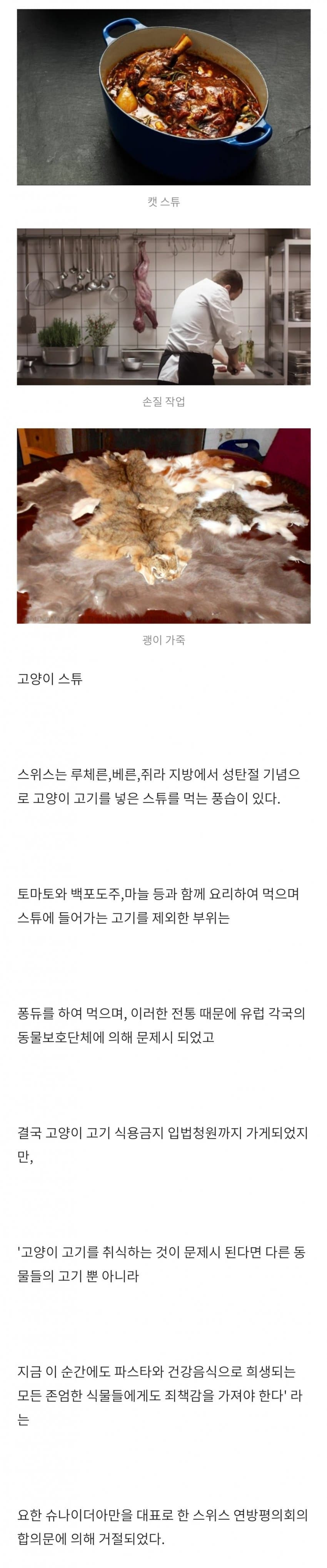 전통요리 때문에 난리난 스위스