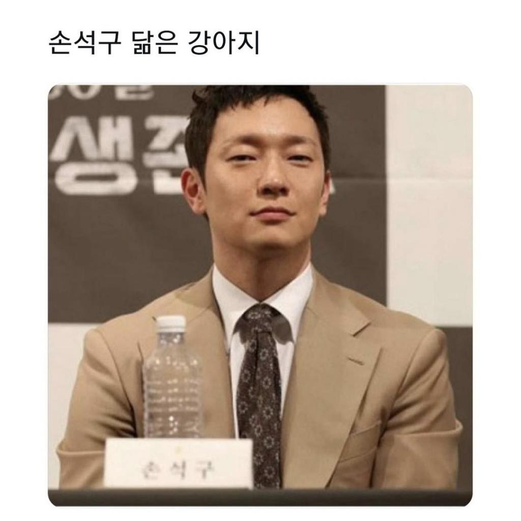 손석구 닮은 강아지