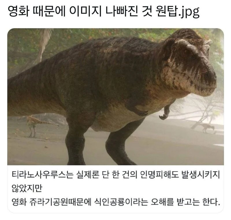 영화때문에 이미지 나빠진 동물 원탑