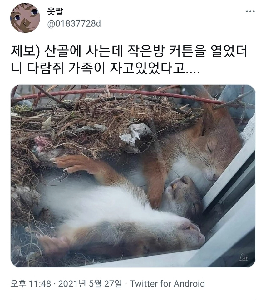 산골에 살면 볼수있는 장면