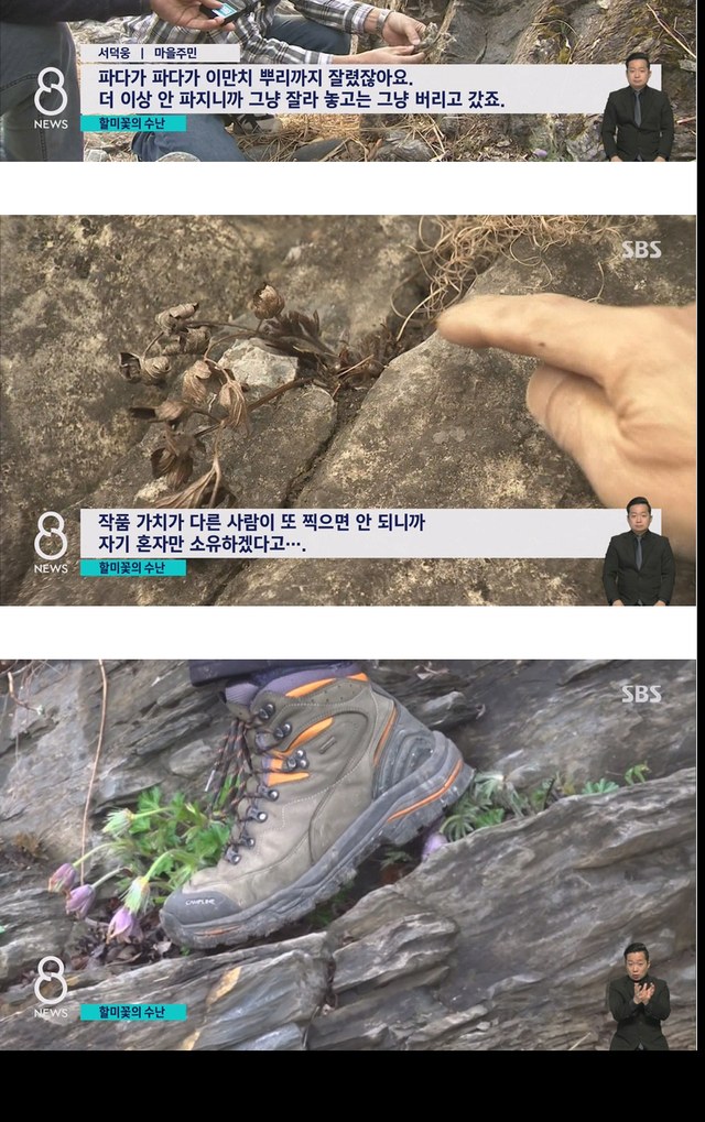 사진작가들이 사진을 찍고나서 훼손하는 이유