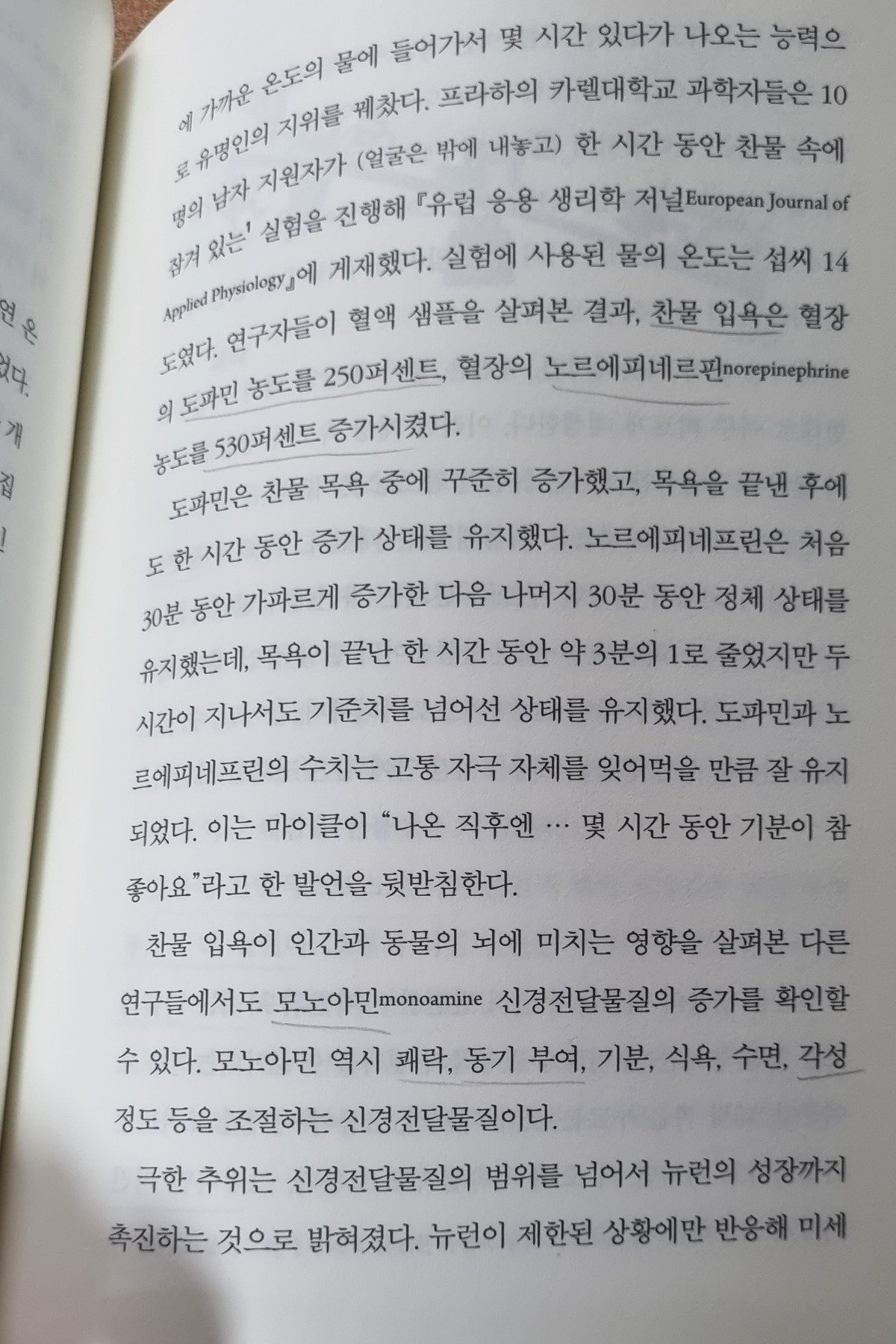 코카인에 버금가는 도파민 증폭 행위