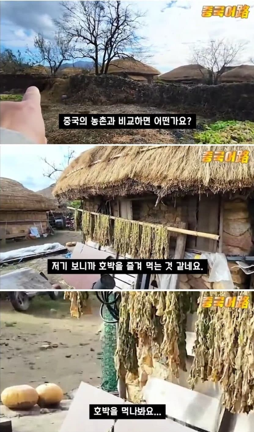 중국보다 뒤처진다는 한국시골