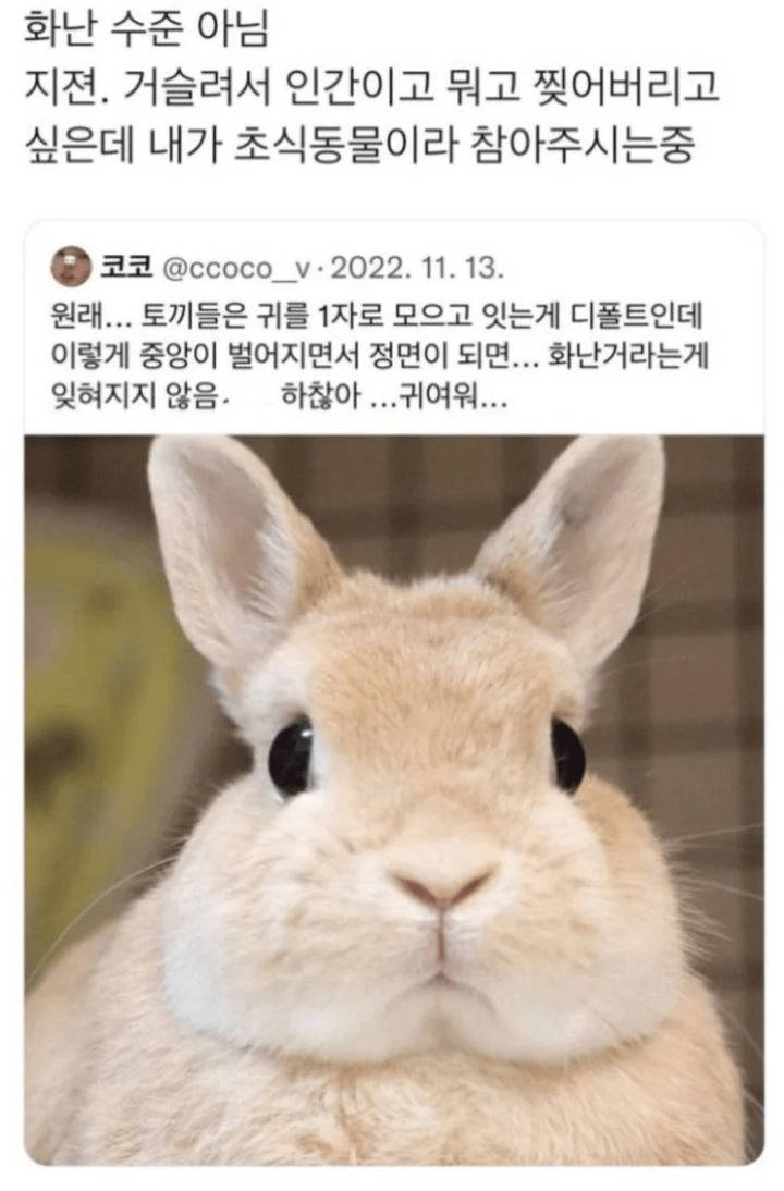 토끼가 진짜 개빡쳤을때 나오는 표정