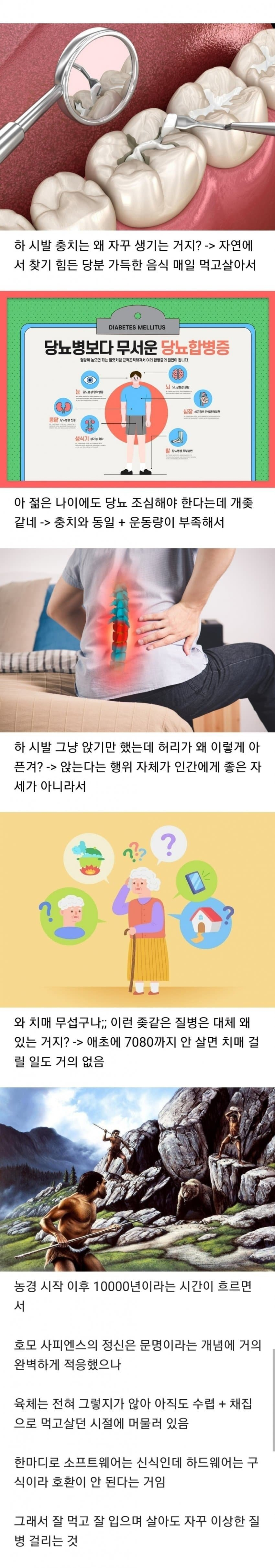 현대인들이 자꾸 아픈 이유