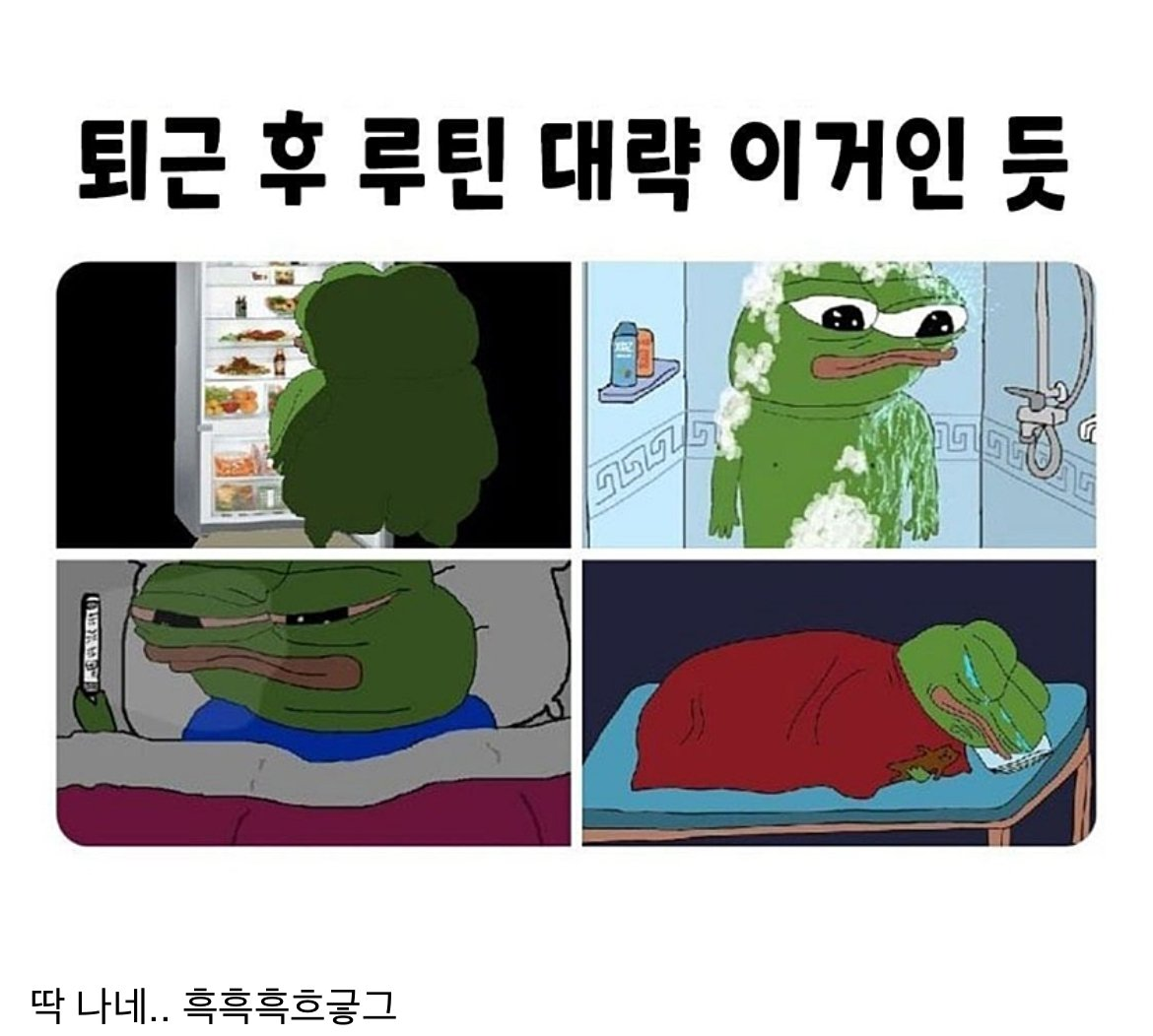 직장인들 퇴근 후 루틴..