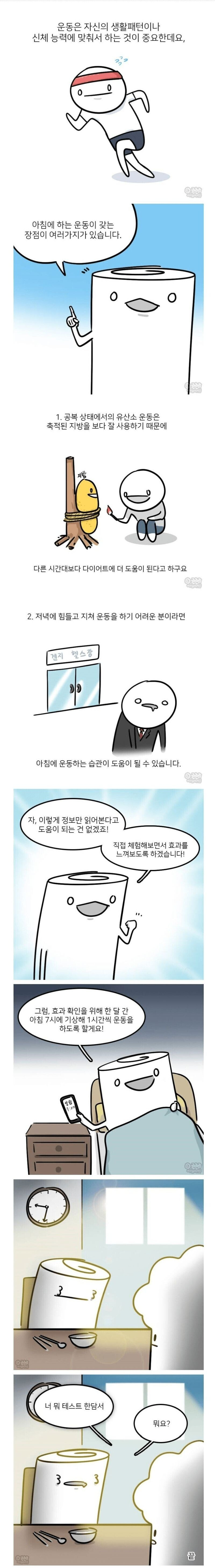 아침에 하는 운동이 좋은 이유