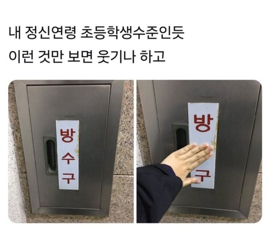 정신연령 판별법