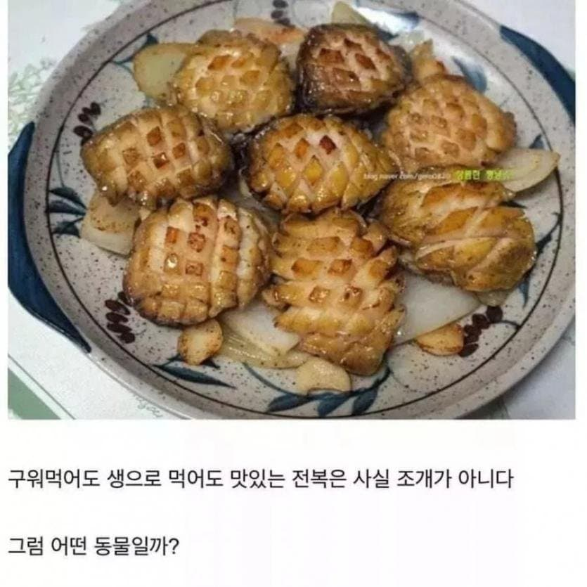 사람들이 잘모르는 전복의 정체