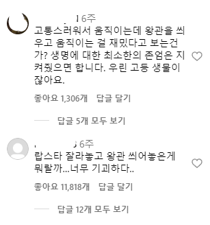 인스타에서 기괴하다고 난리 난 랍스터 식당