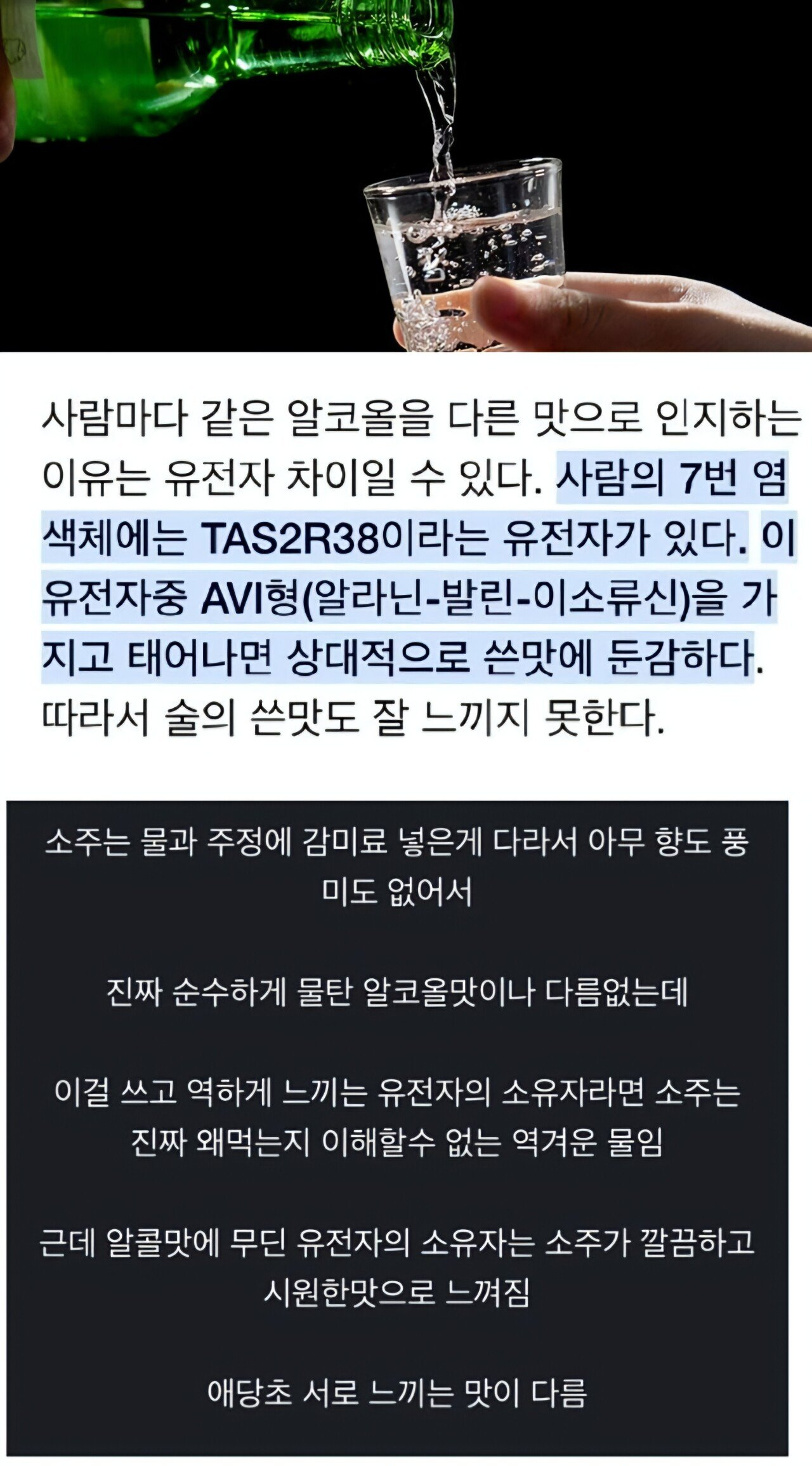 소주가 역해서 절대 못먹겠다고 하는 사람들 이유