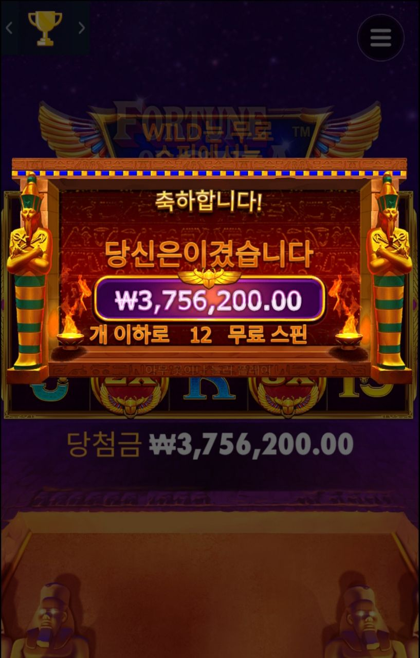 프라그마틱 포춘기자 370만 행복해